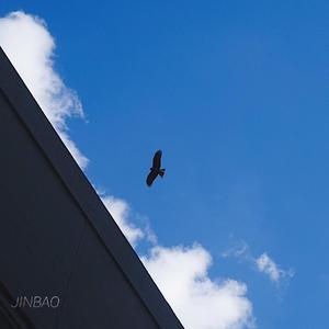 欧洲亚洲视频免看
